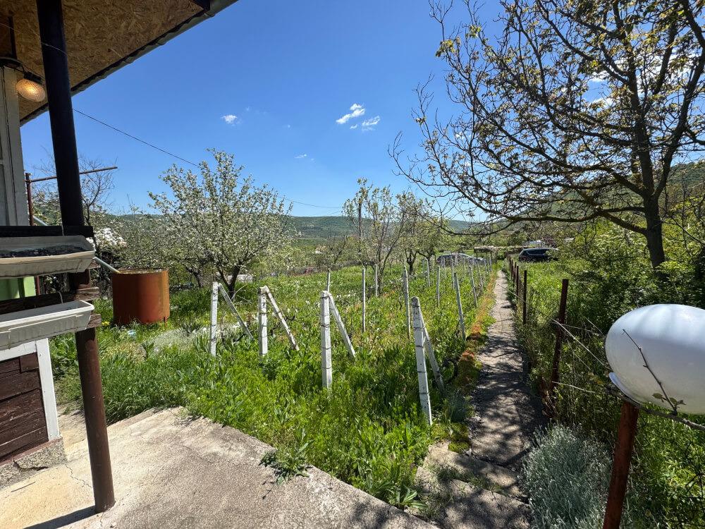 Villa for Sale in Provadiya, Varna