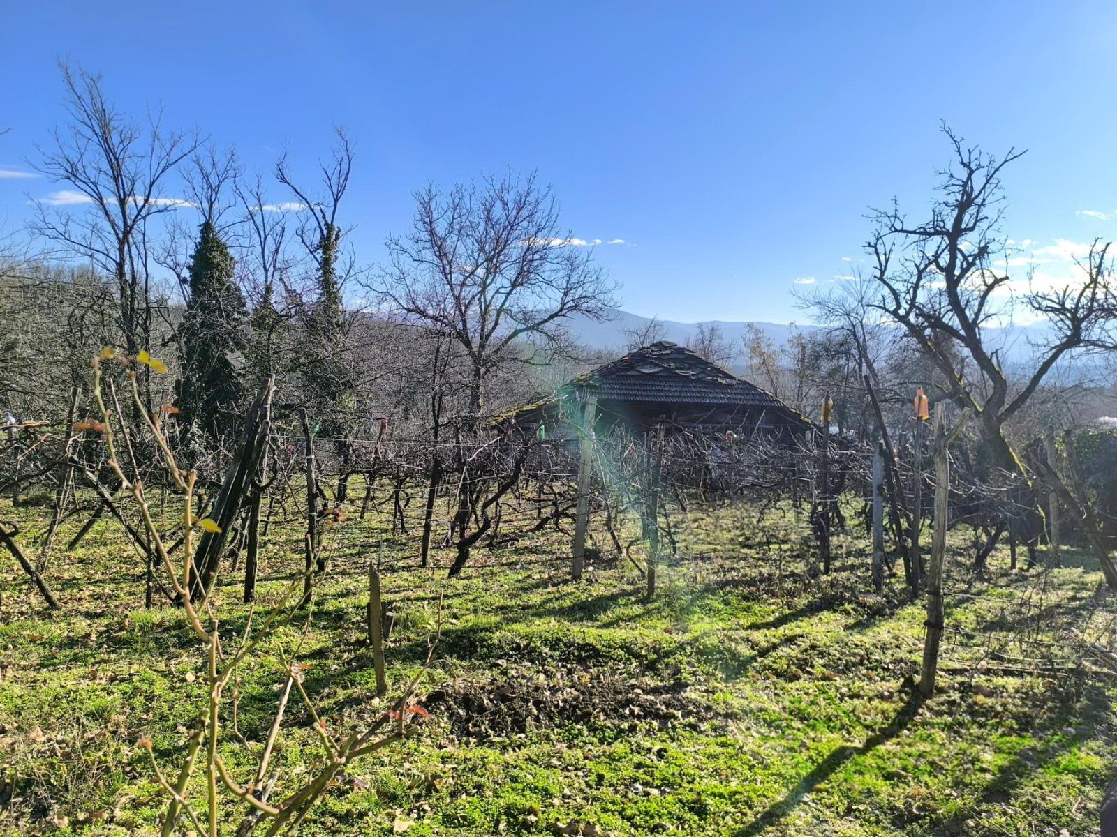House for Sale in Petsovtsi, Gabrovo
