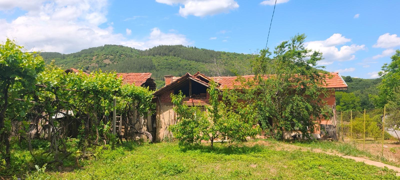 House for Sale in Dragovishtitsa, Kyustendil