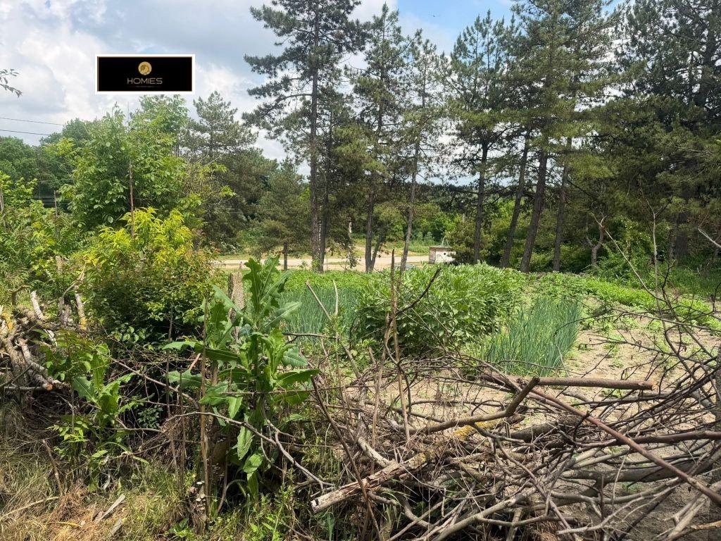 House for Sale in Krasen, Dobrich