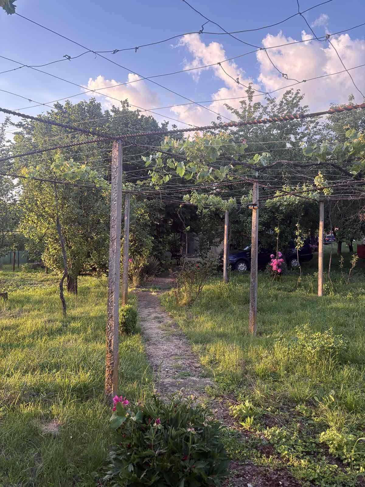 House for Sale in Gorna Grashtitsa, Kyustendil