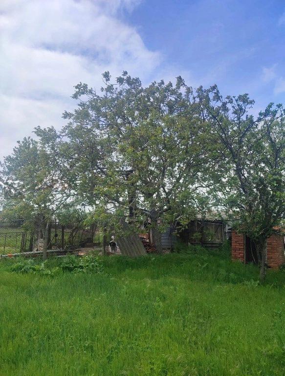 House for Sale in Studena, Haskovo