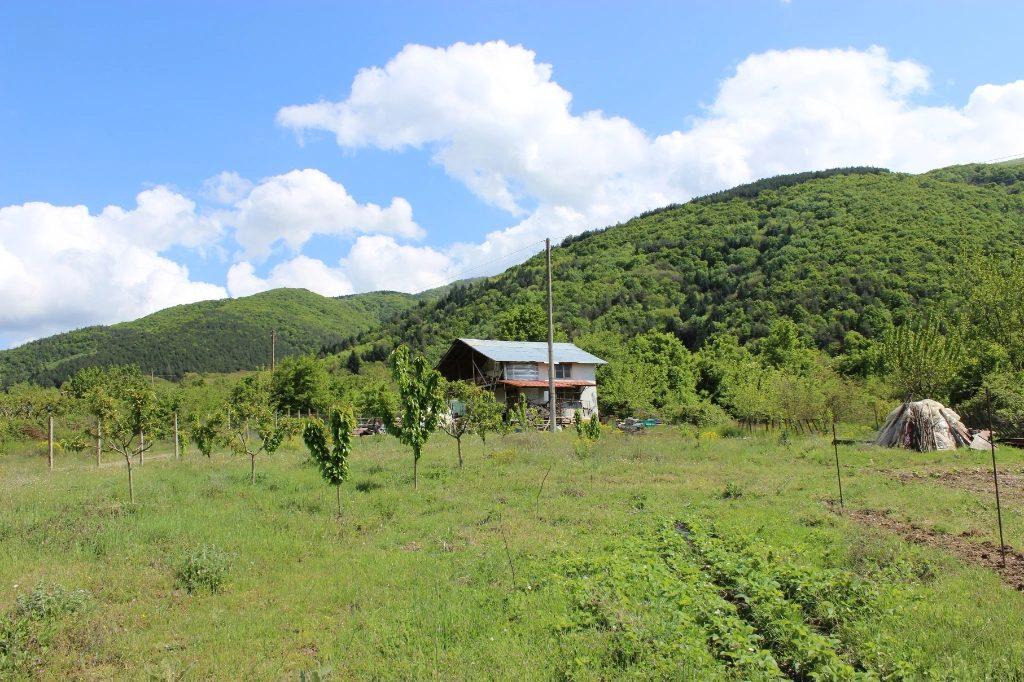 Villa for Sale in Petrich, Blagoevgrad