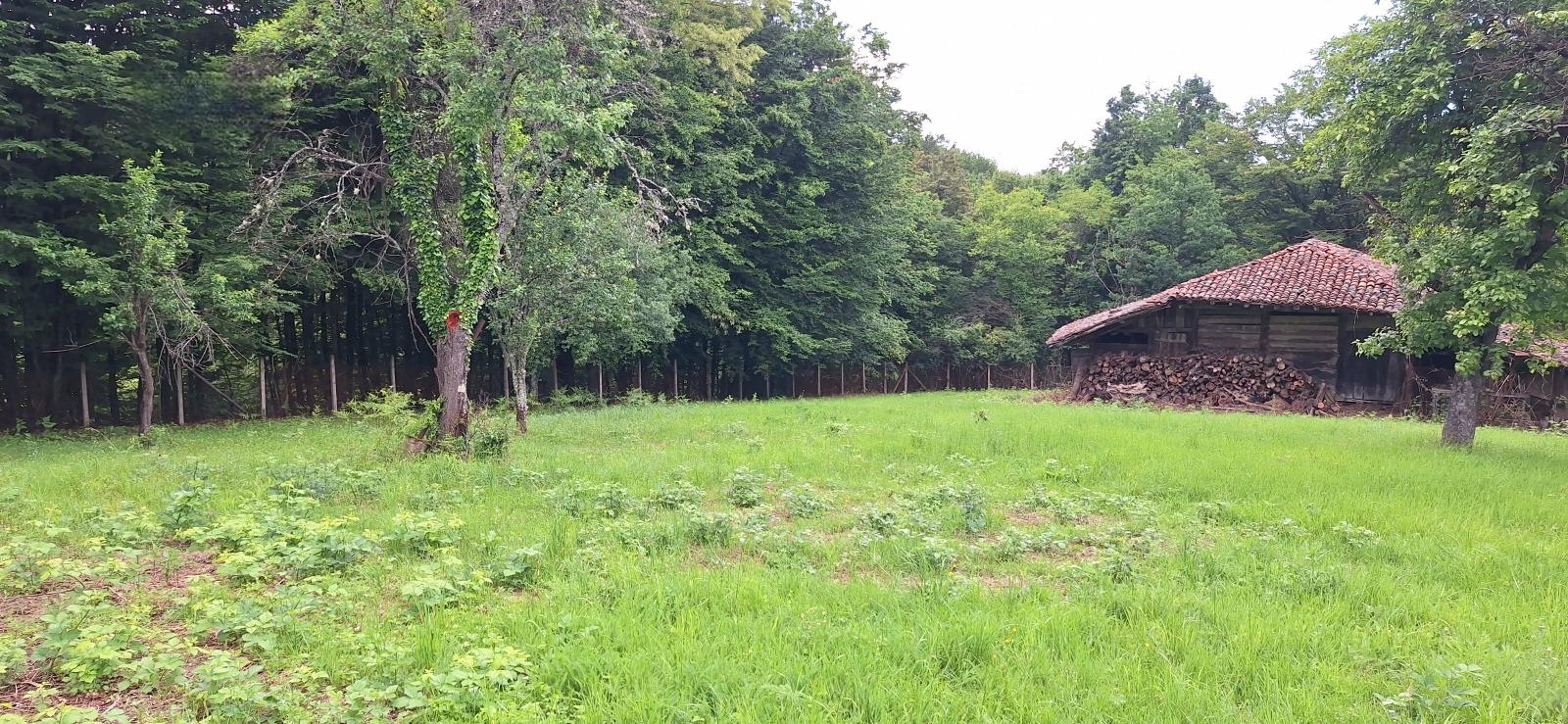 House for Sale in Elena, Veliko Tarnovo