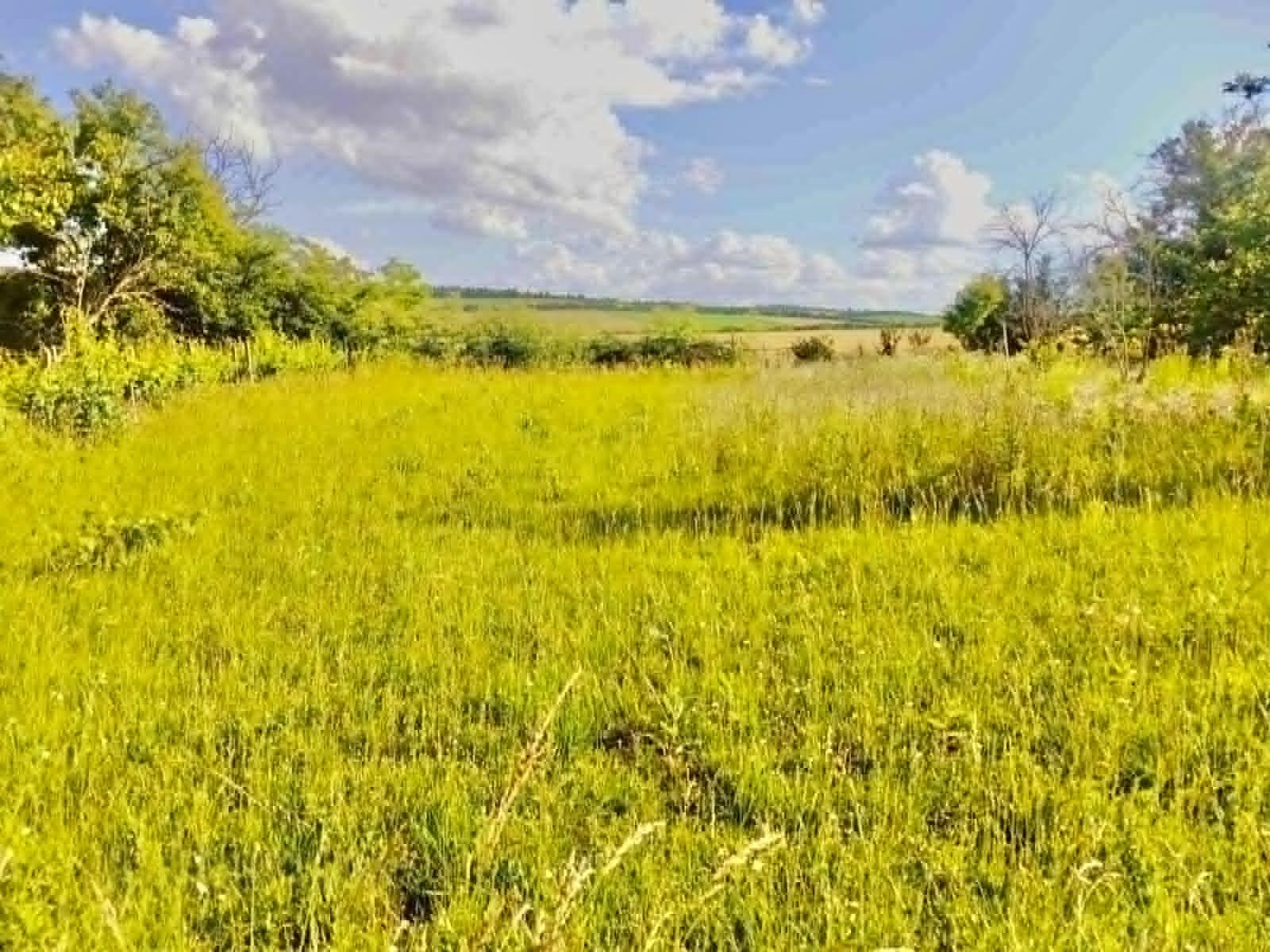House for Sale in Medovo, Dobrich