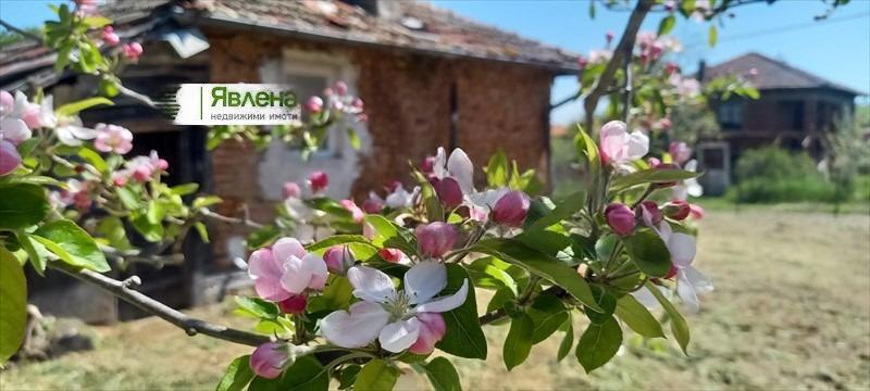 House for Sale in Fazanovo, Burgas