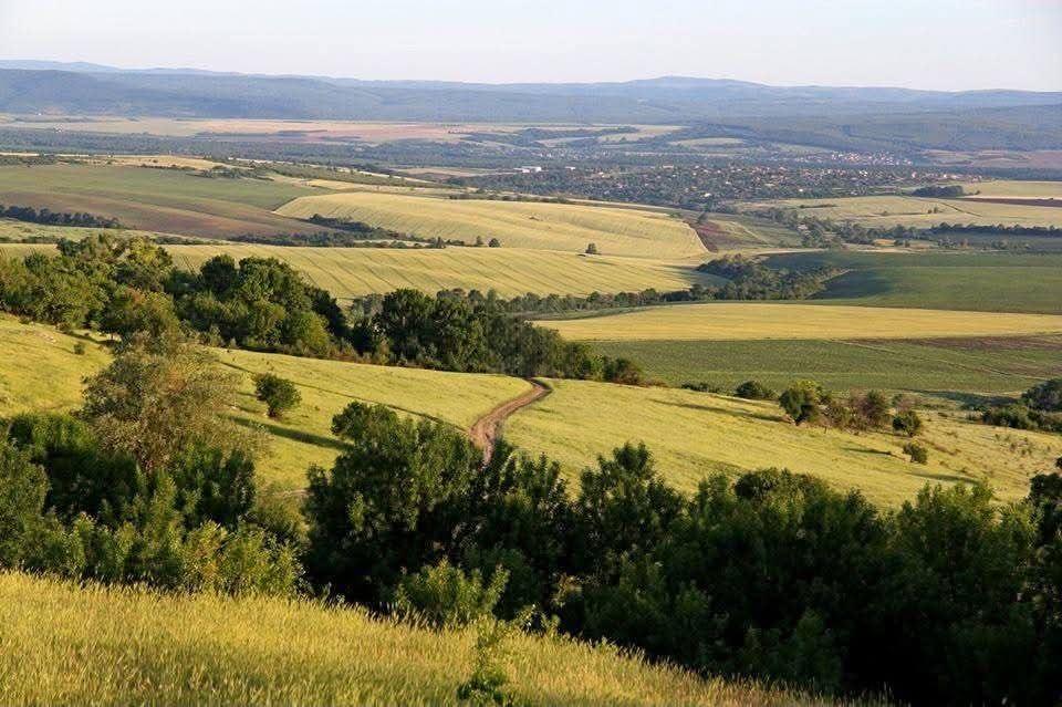 House for Sale in Ravna gora, Varna