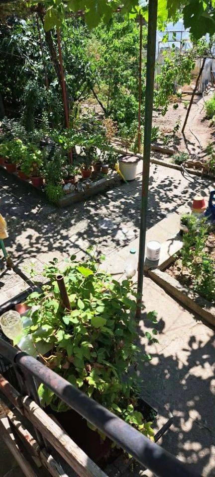 House for Sale in Lyulyak, Stara Zagora