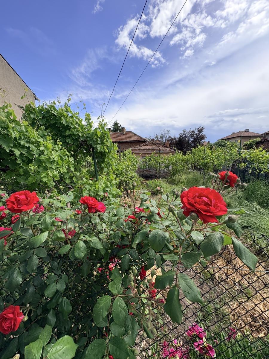 House for Sale in Vidin, v.z. Akdzhamiya