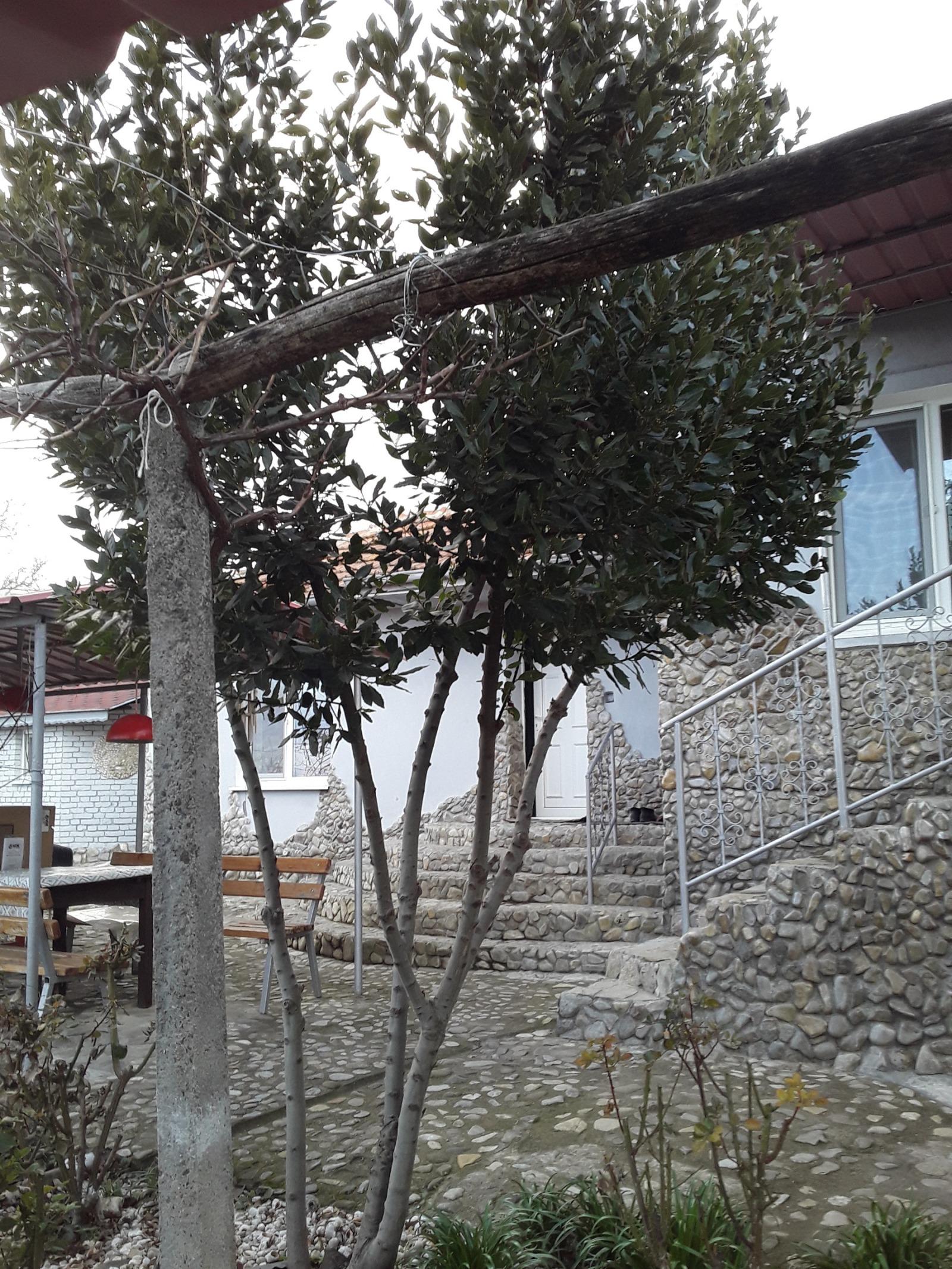 House for Sale in Podvis, Burgas