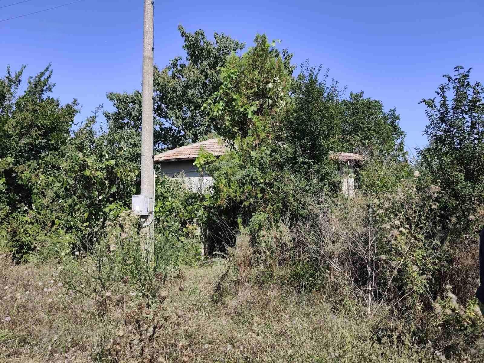 House for Sale in Pchelarovo, Dobrich