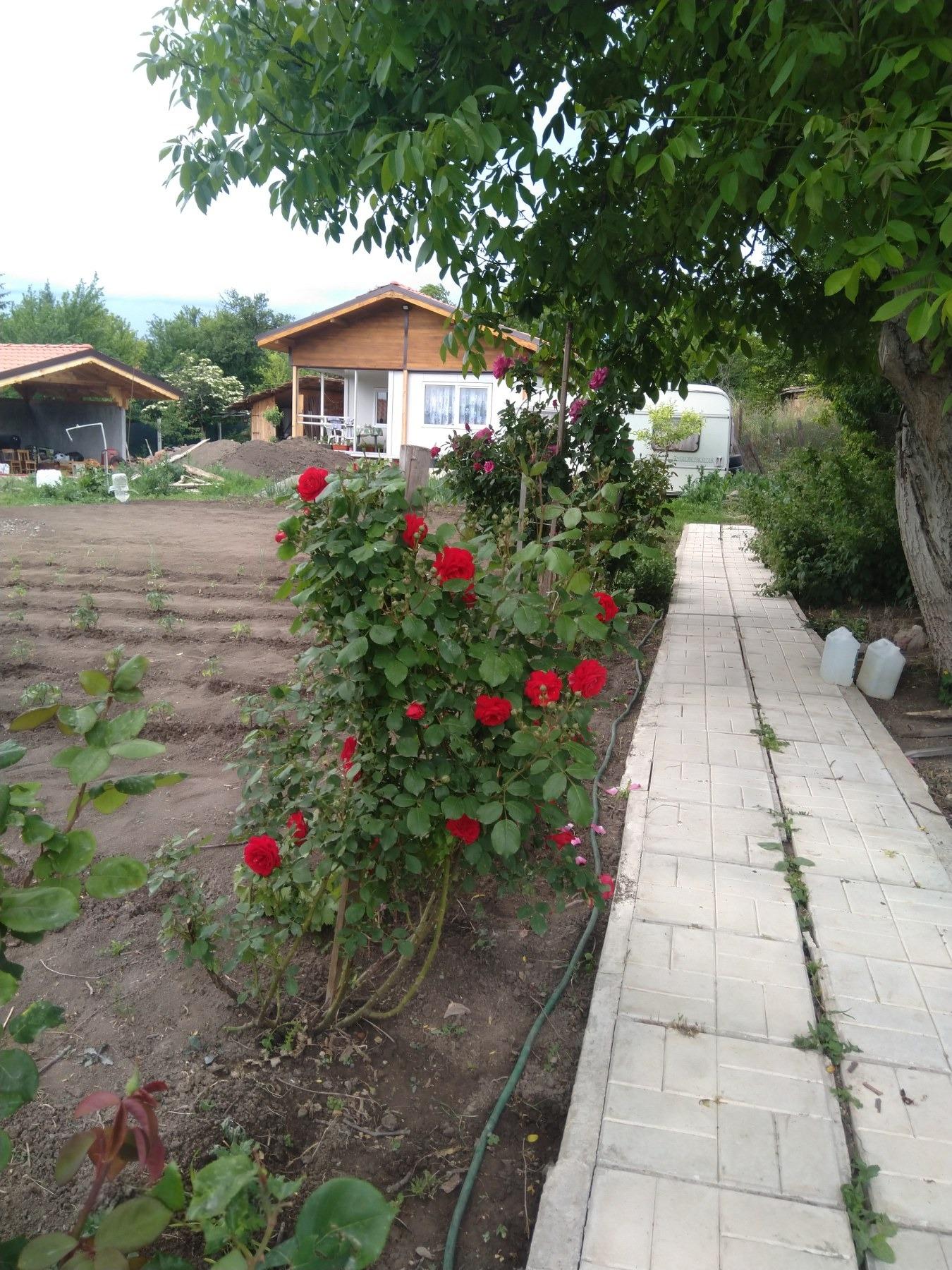 Villa for Sale in Velkovtsi, Pernik