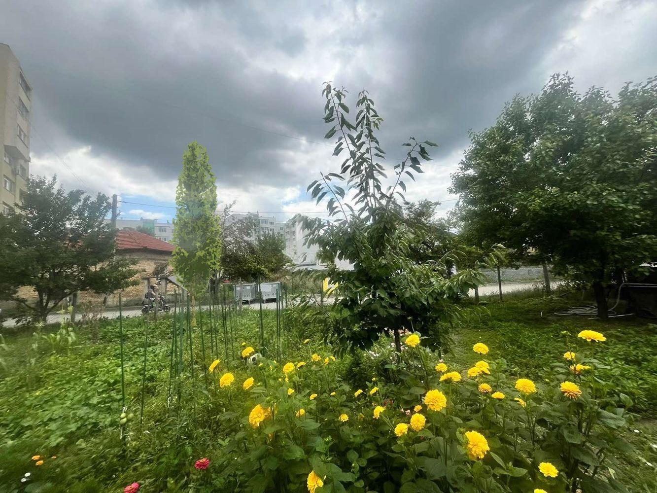 House for Sale in Novi pazar, Shumen