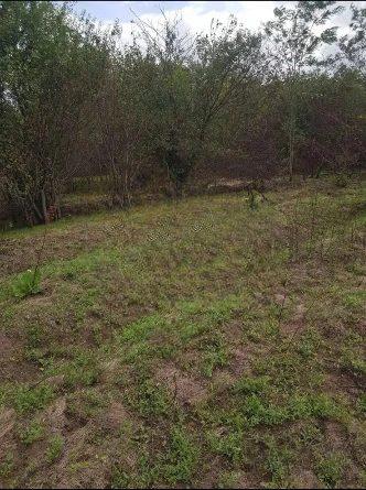 House for Sale in Dabrava, Dobrich