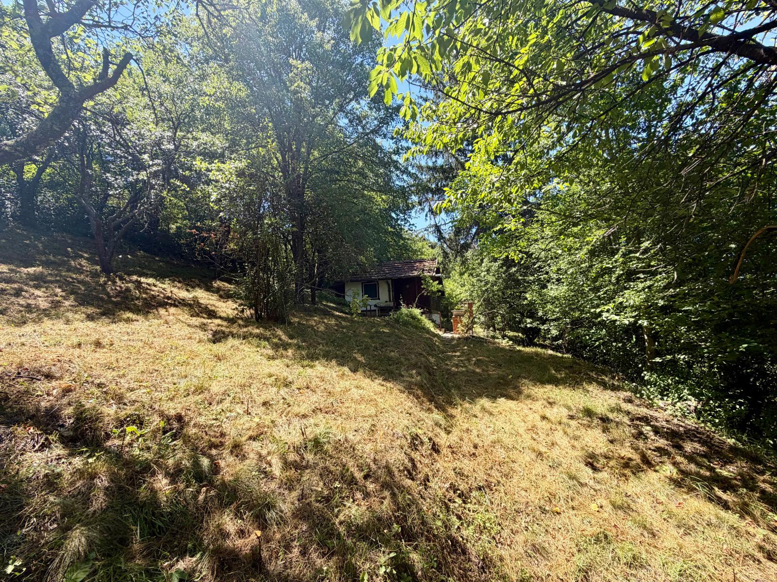 House for Sale in Svidnya, Sofia Province