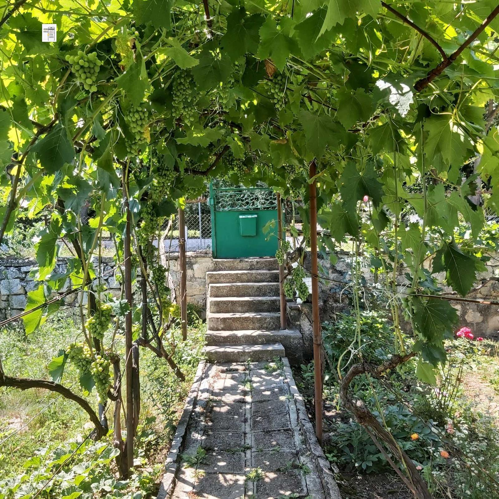 House for Sale in Vladimirovo, Dobrich
