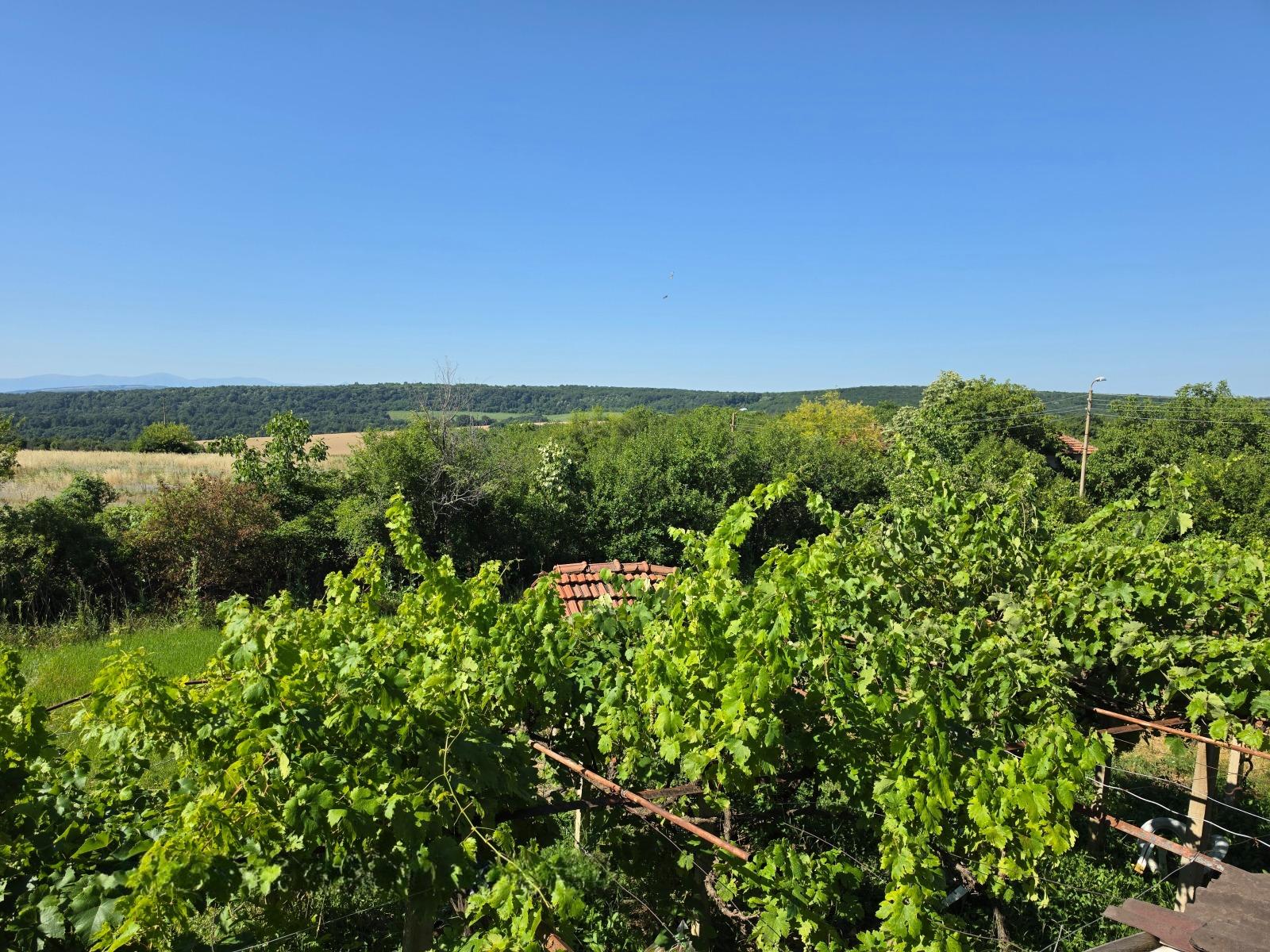 House for Sale in Brestovo, Lovech