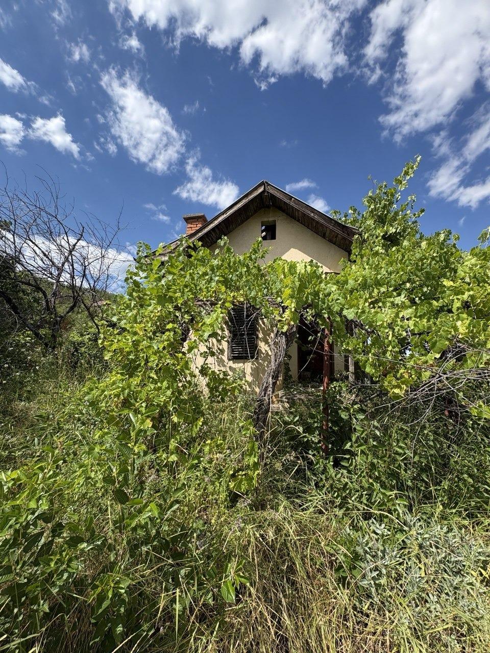 Villa for Sale in Berkovitsa, Montana