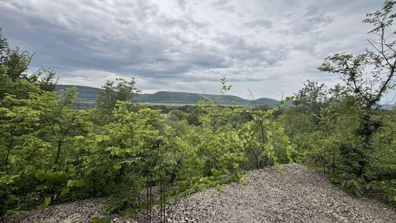 House for Sale in Ledenik, Veliko Tarnovo