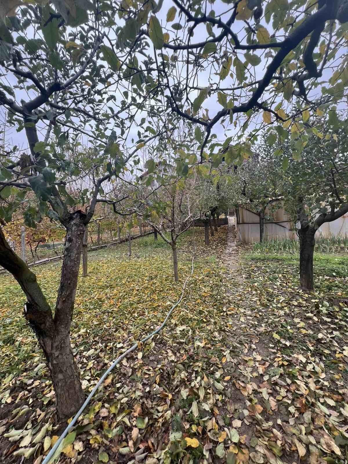 House for Sale in Dragodan, Kyustendil