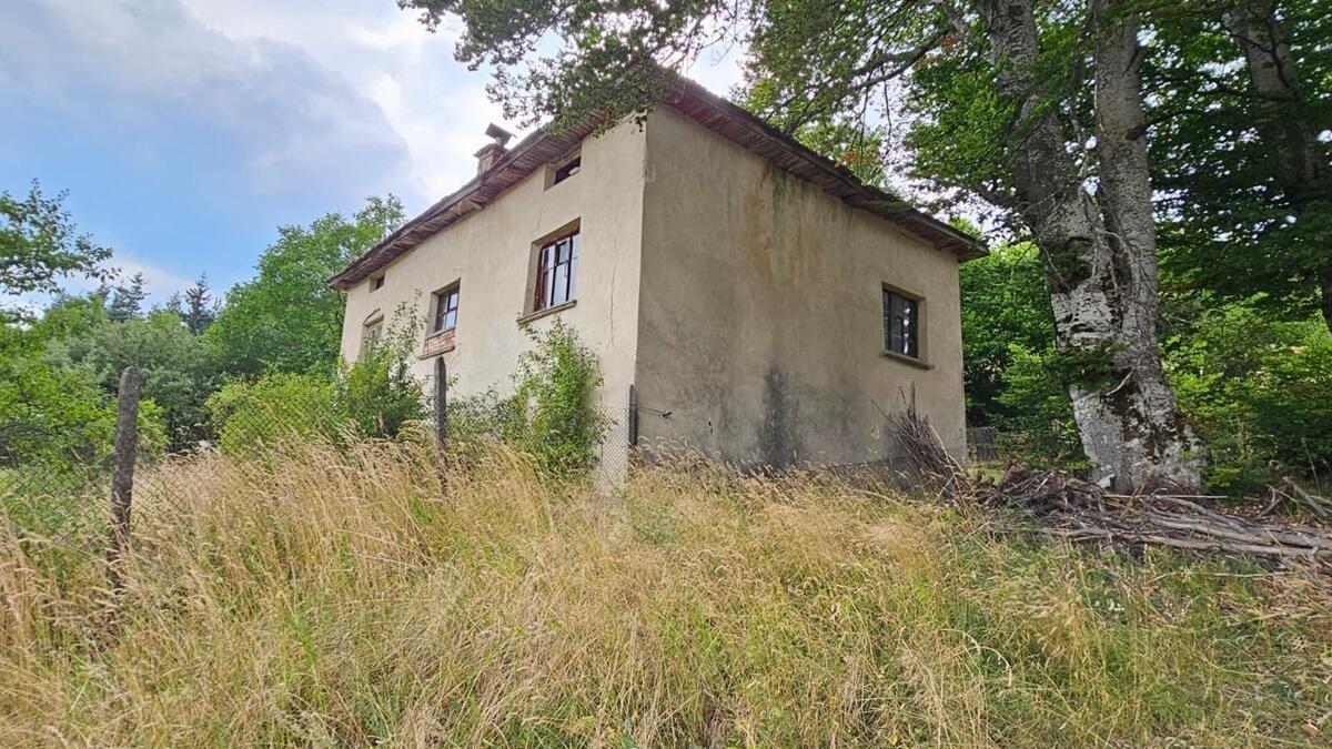 House for Sale in Starnitsa, Smolyan