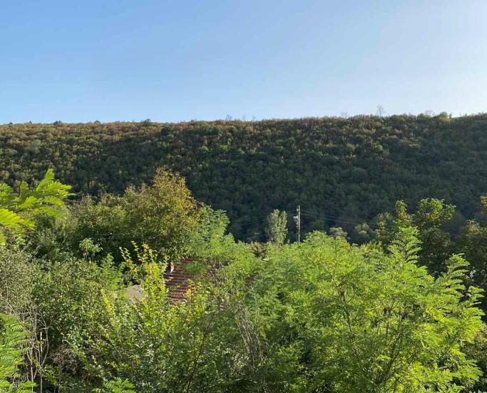 House for Sale in Tabachka, Ruse