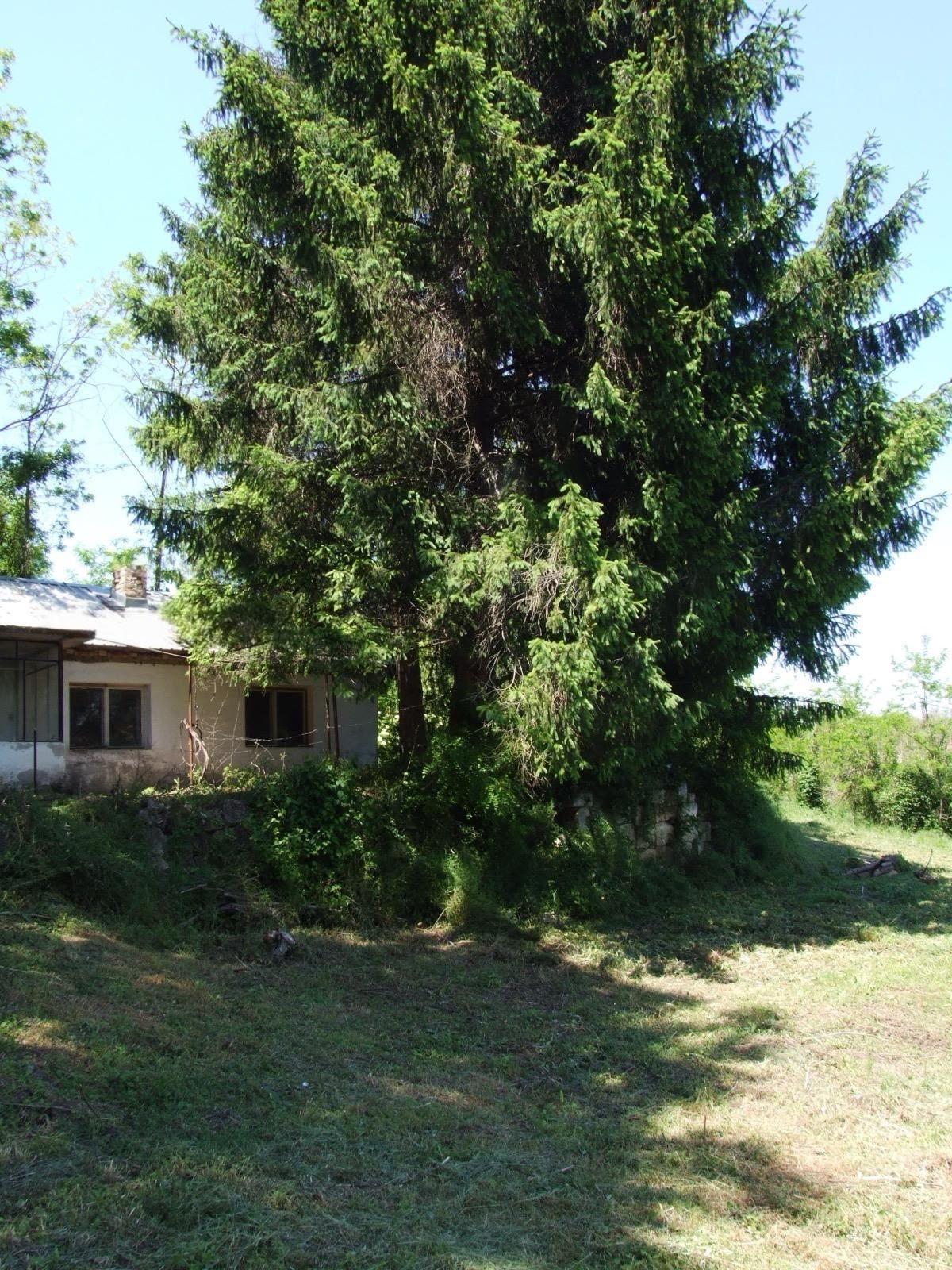 House for Sale in Pisanets, Ruse
