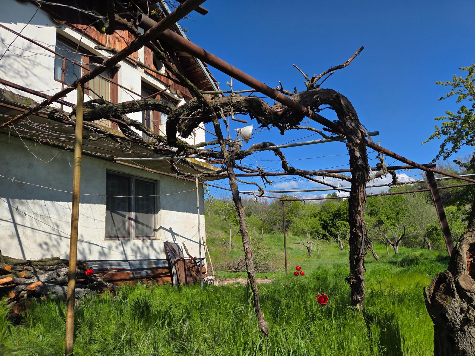 House for Sale in Buranovo, Kyustendil