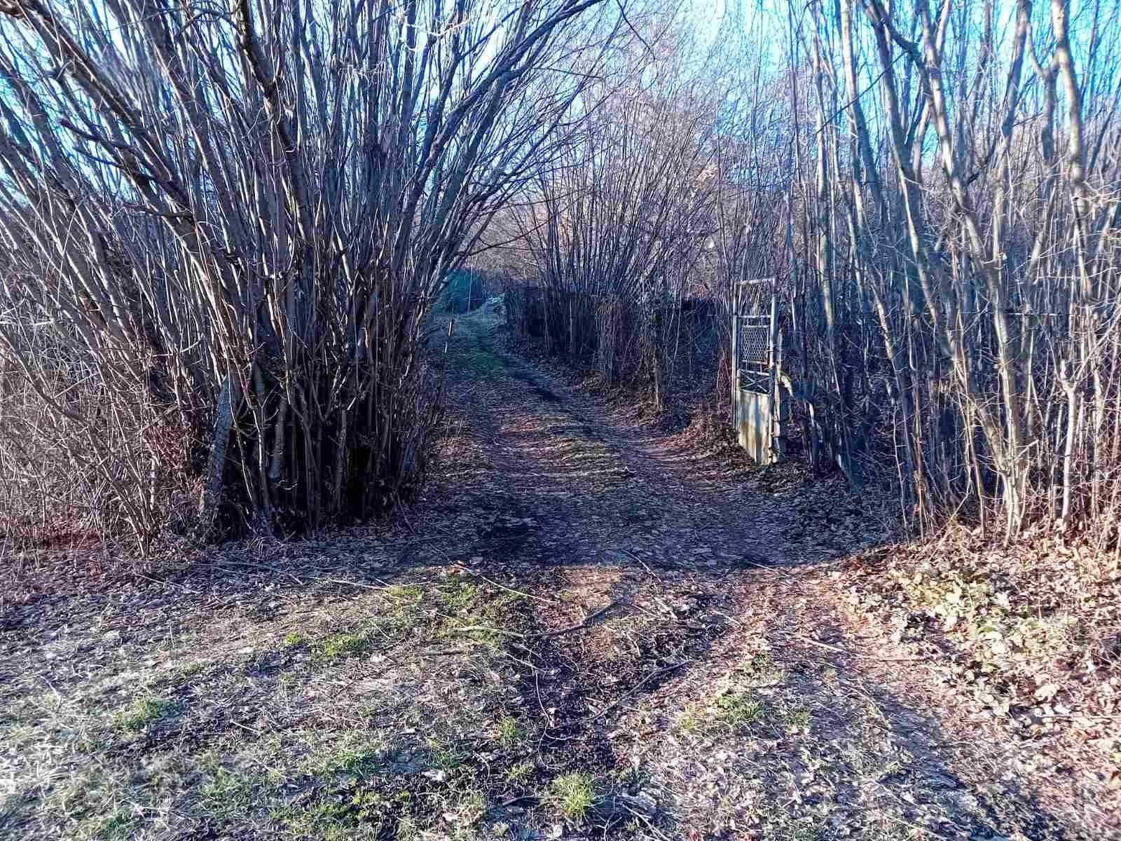 House for Sale in Nikolovo, Ruse