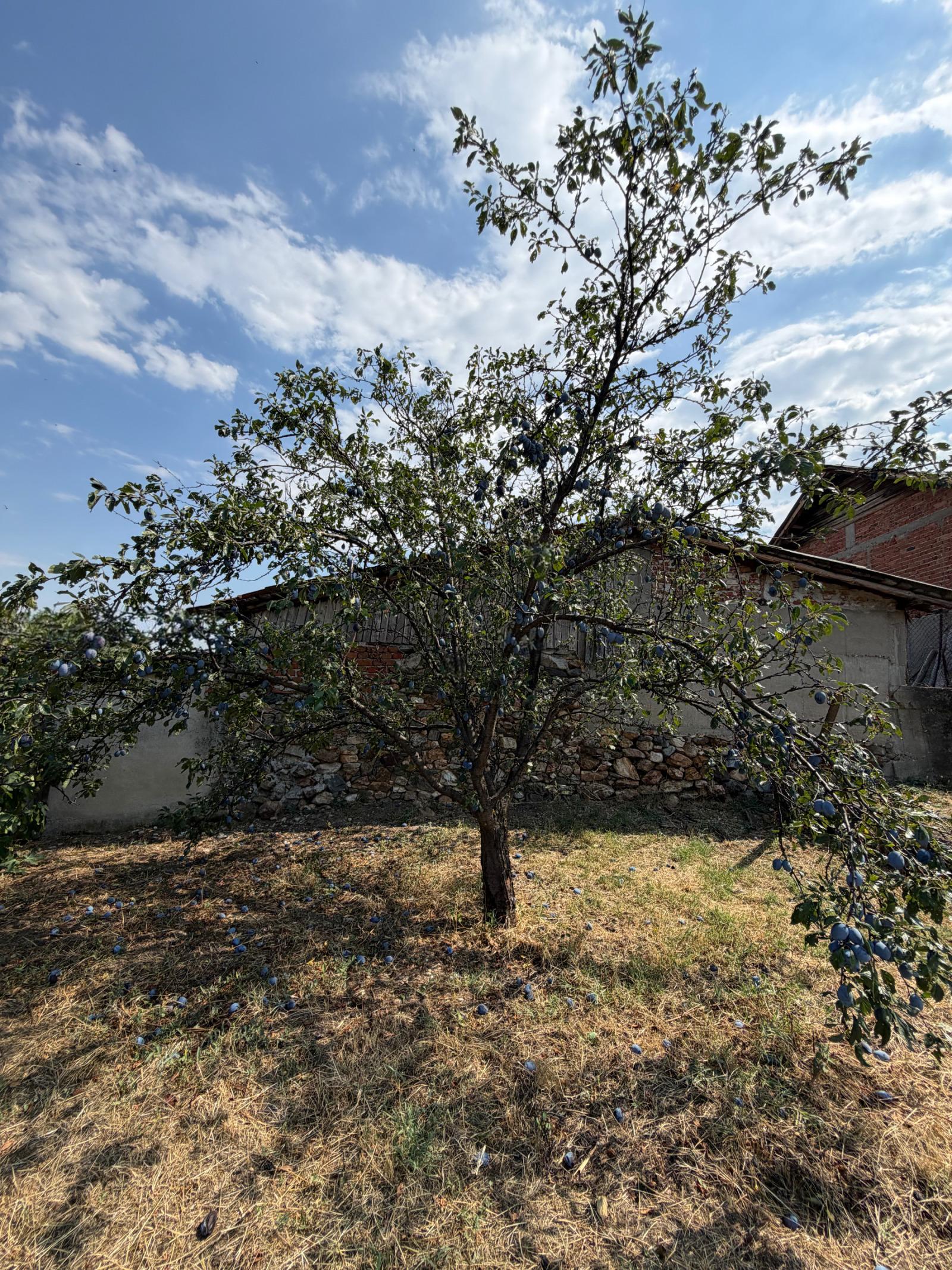 House for Sale in Akandzhievo, Pazardzhik
