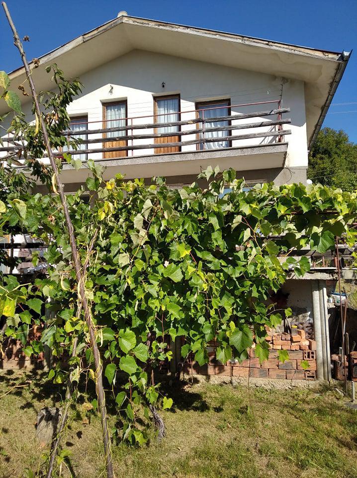 House for Sale in Tran, Pernik