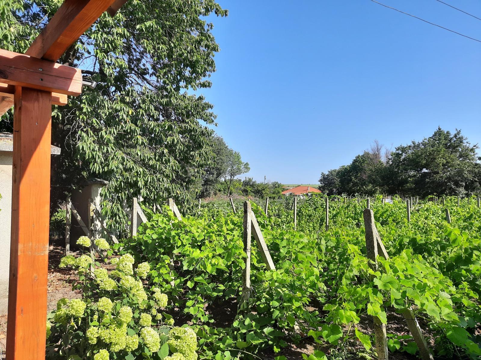 House for Sale in Shabla, Dobrich