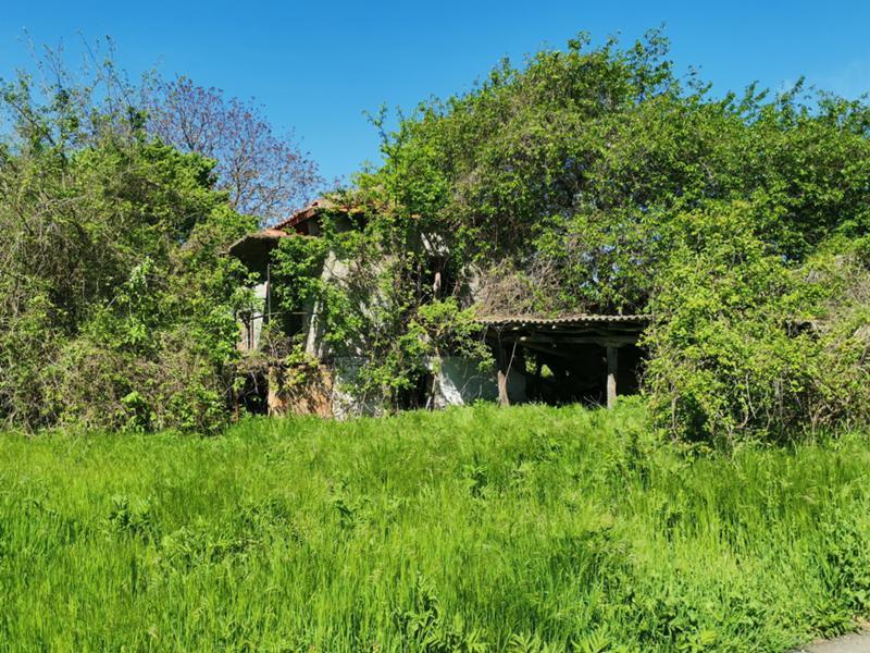 House for Sale in Alekovo, Silistra