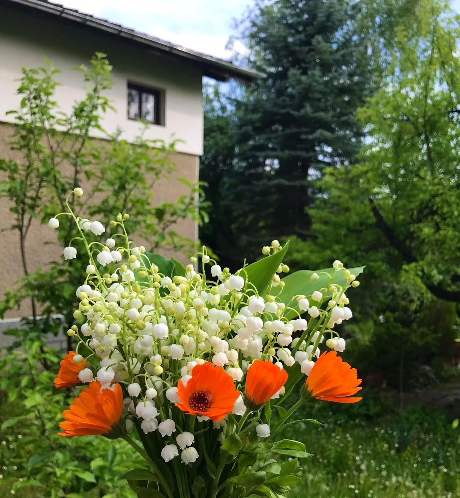 House for Sale in Vratsa, Studentski grad