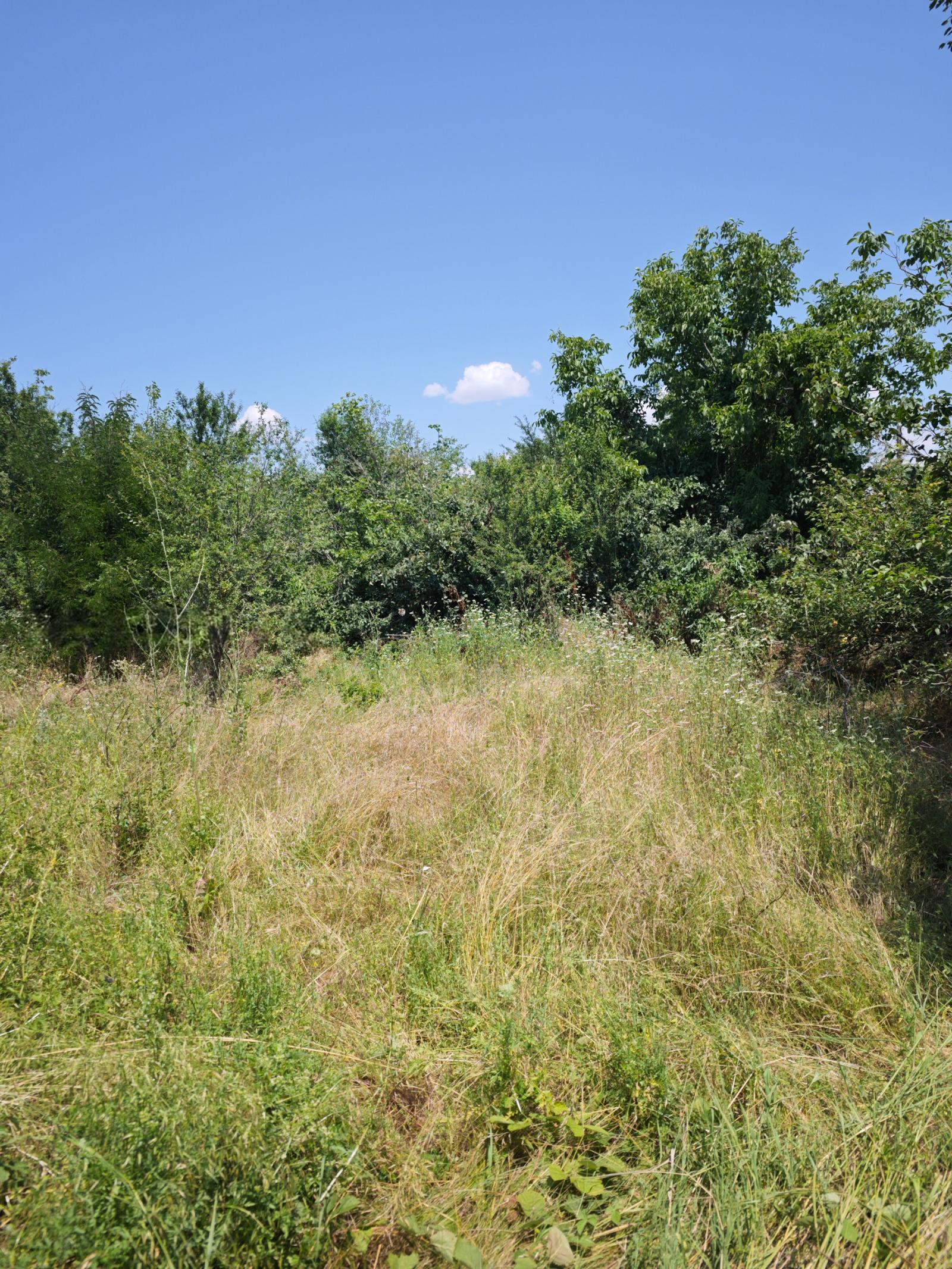 House for Sale in Varbitsa, Veliko Tarnovo