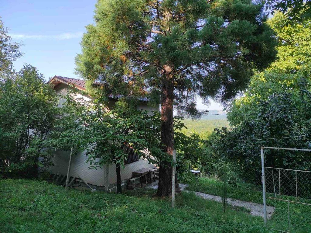 Villa for Sale in Berkovitsa, Montana