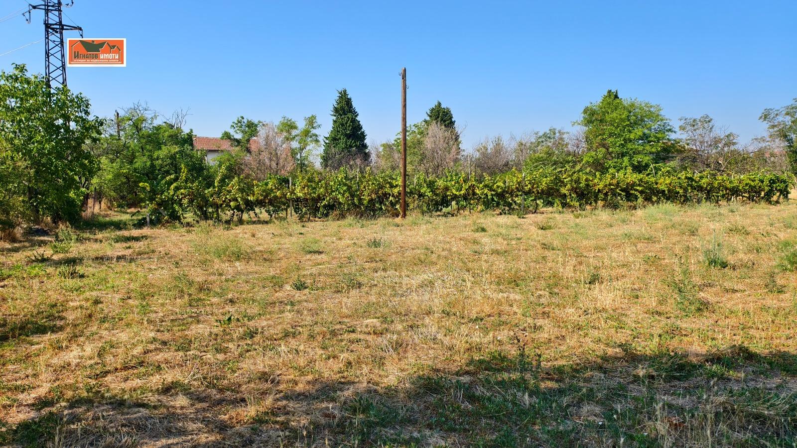 House for Sale in Velichkovo, Pazardzhik