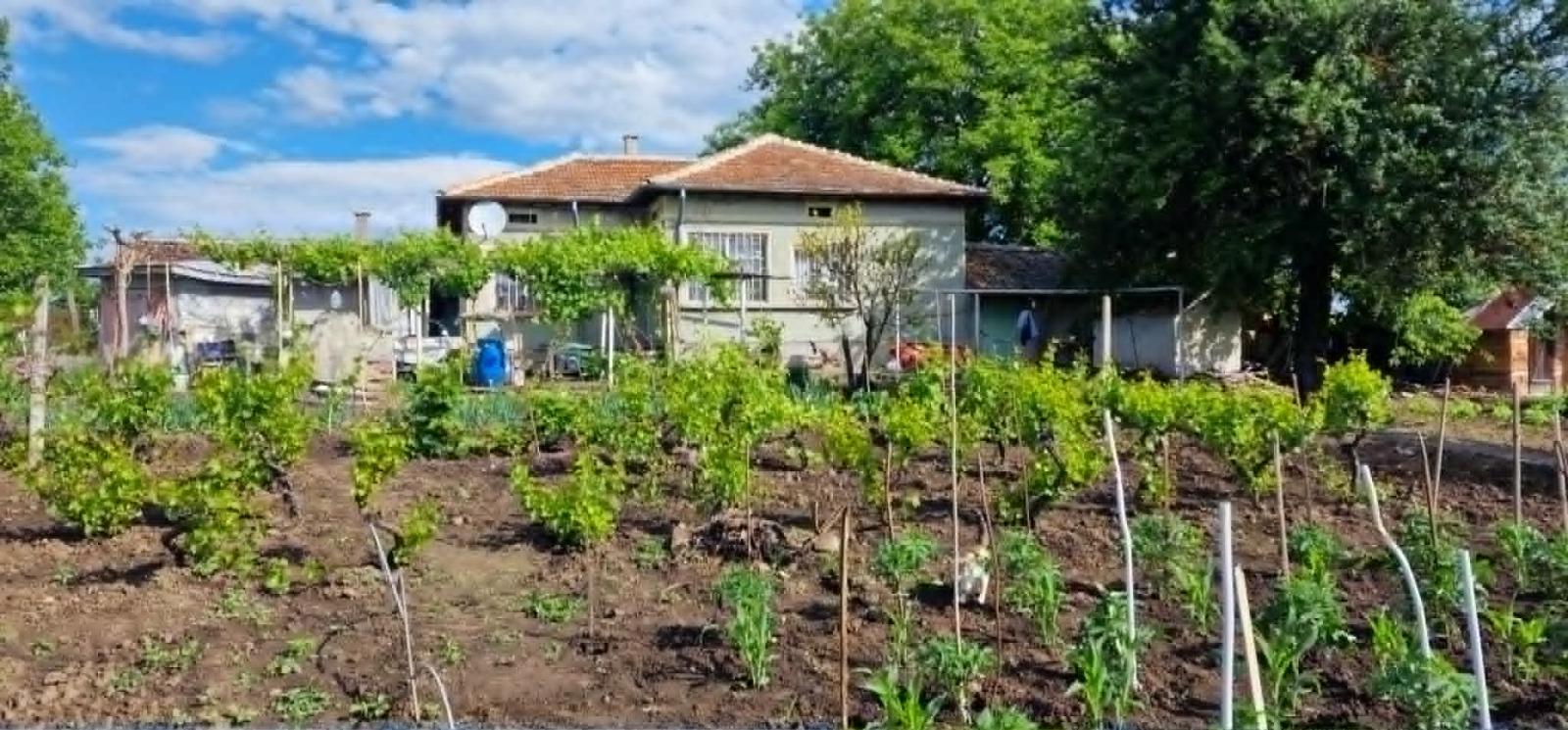 House for Sale in Pchelnik, Dobrich