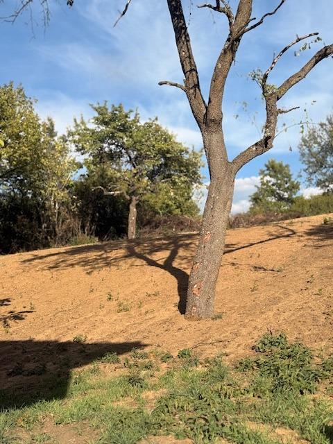 House for Sale in Pernik, Tsarkva