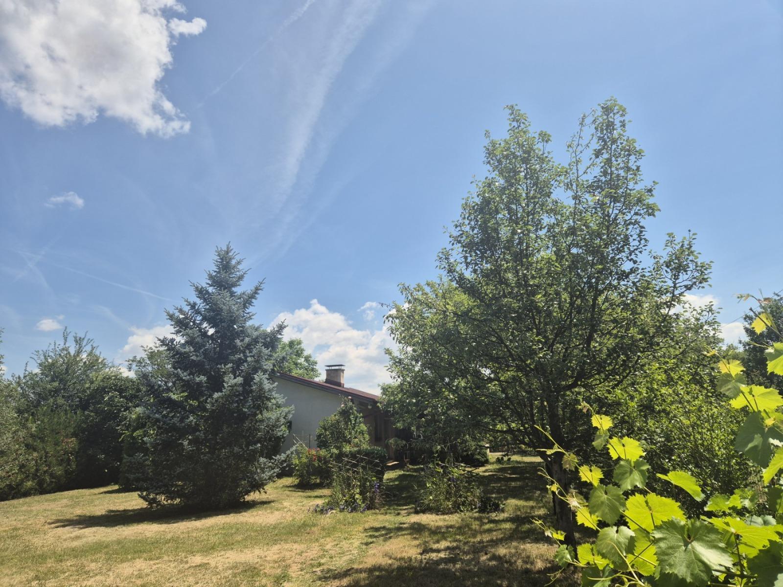 House for Sale in Debeli lag, Pernik