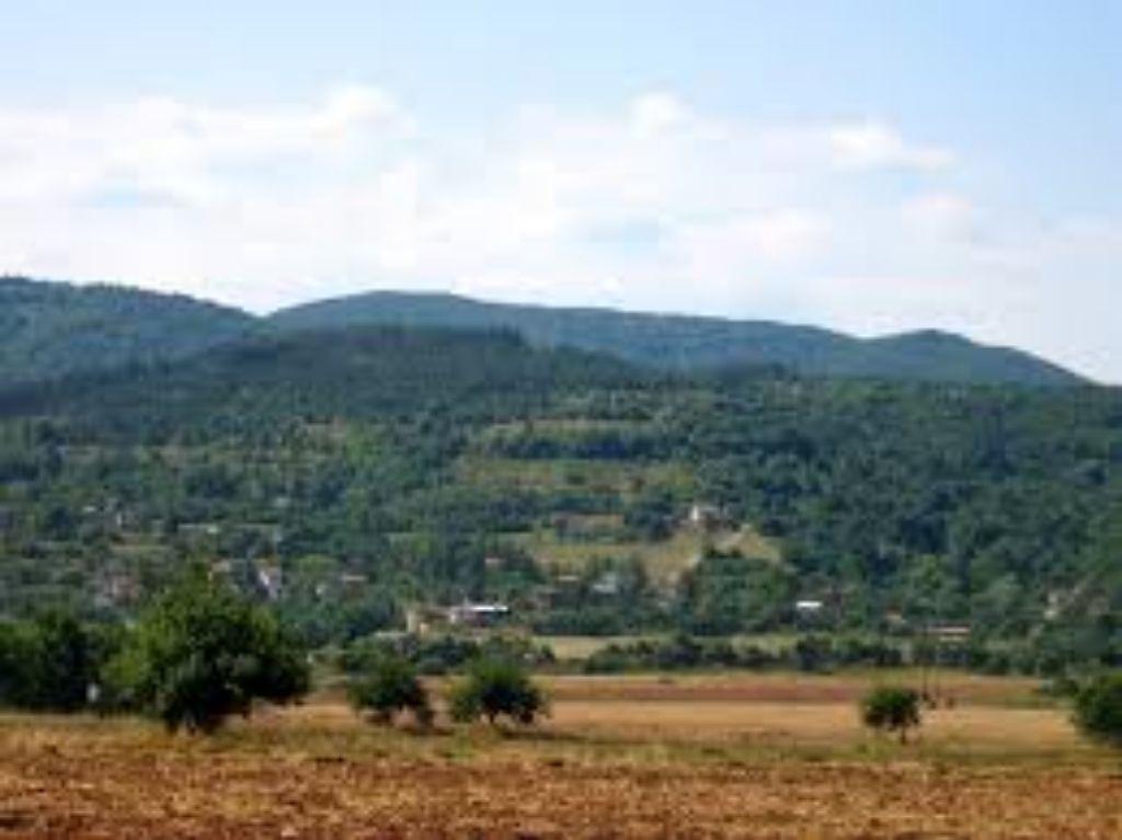 Villa for Sale in Berayntsi, Pernik