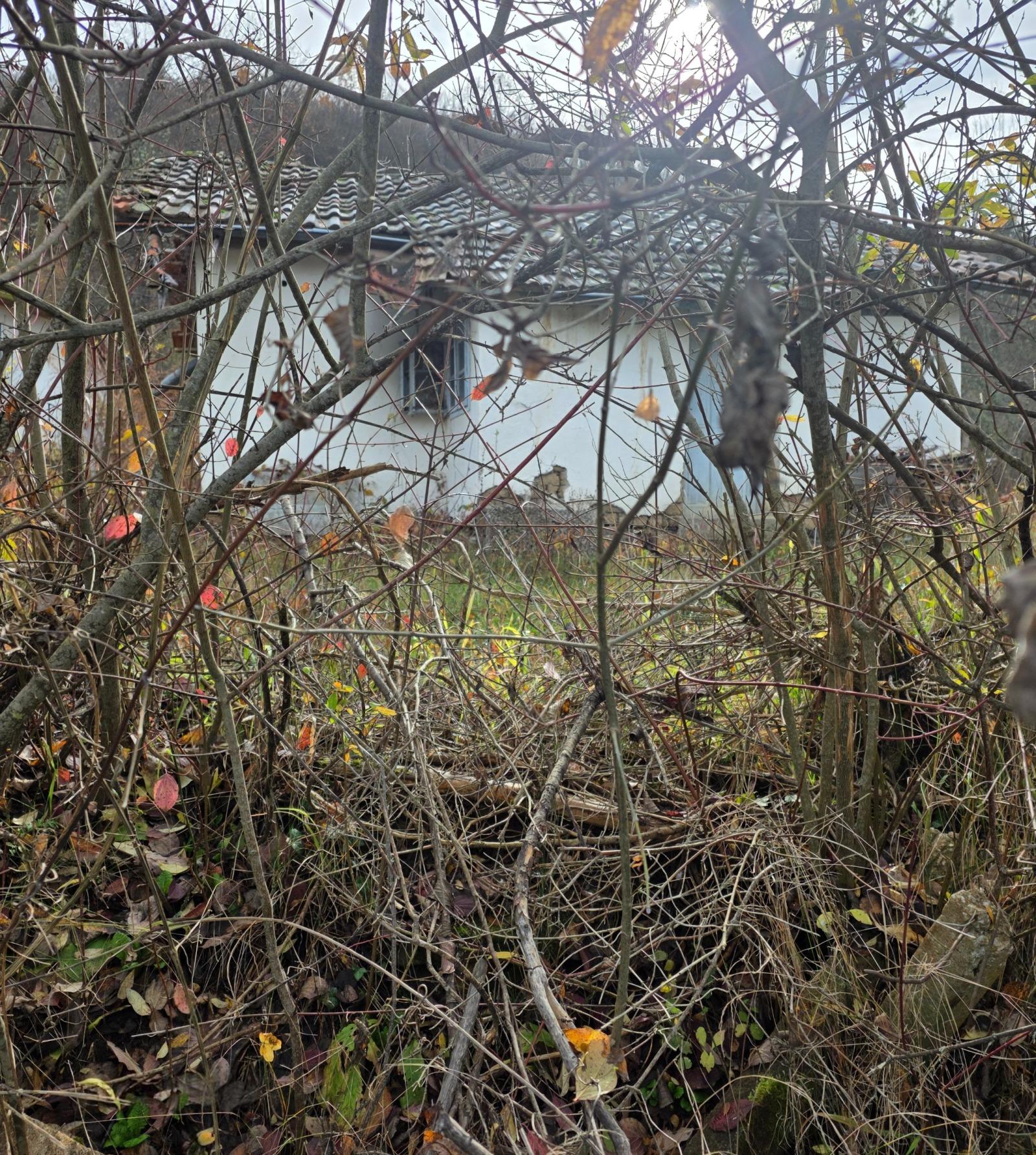 House for Sale in Svidnya, Sofia Province