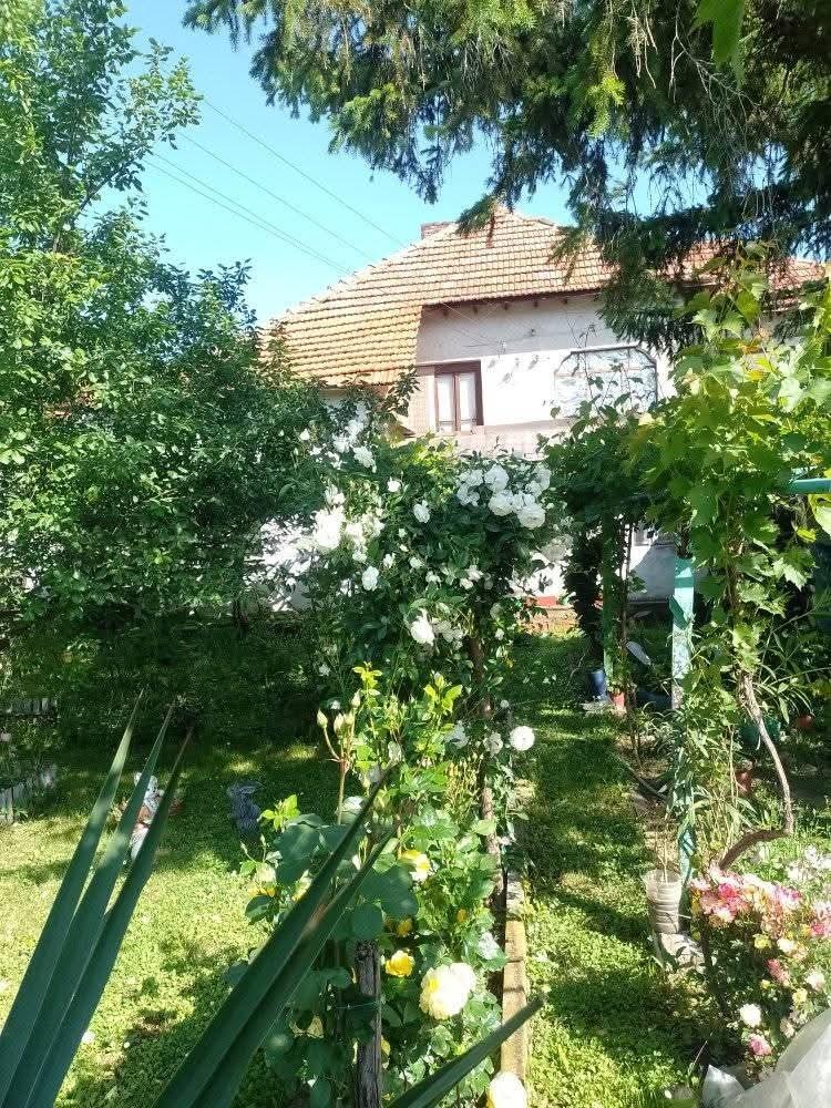 House for Sale in Borovan, Vratsa