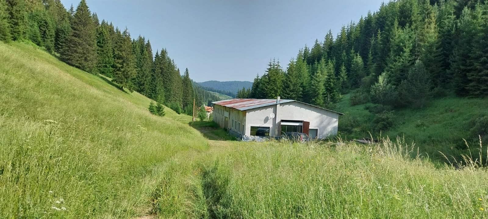 House for Sale in Pamporovo Resort, Smolyan
