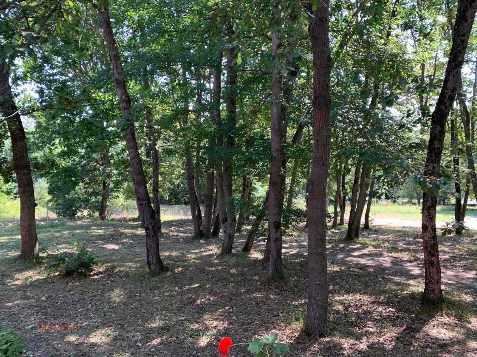 Hotel for Sale in Kiten, Burgas Province, Bulgaria — 2,400 m² — photo 6