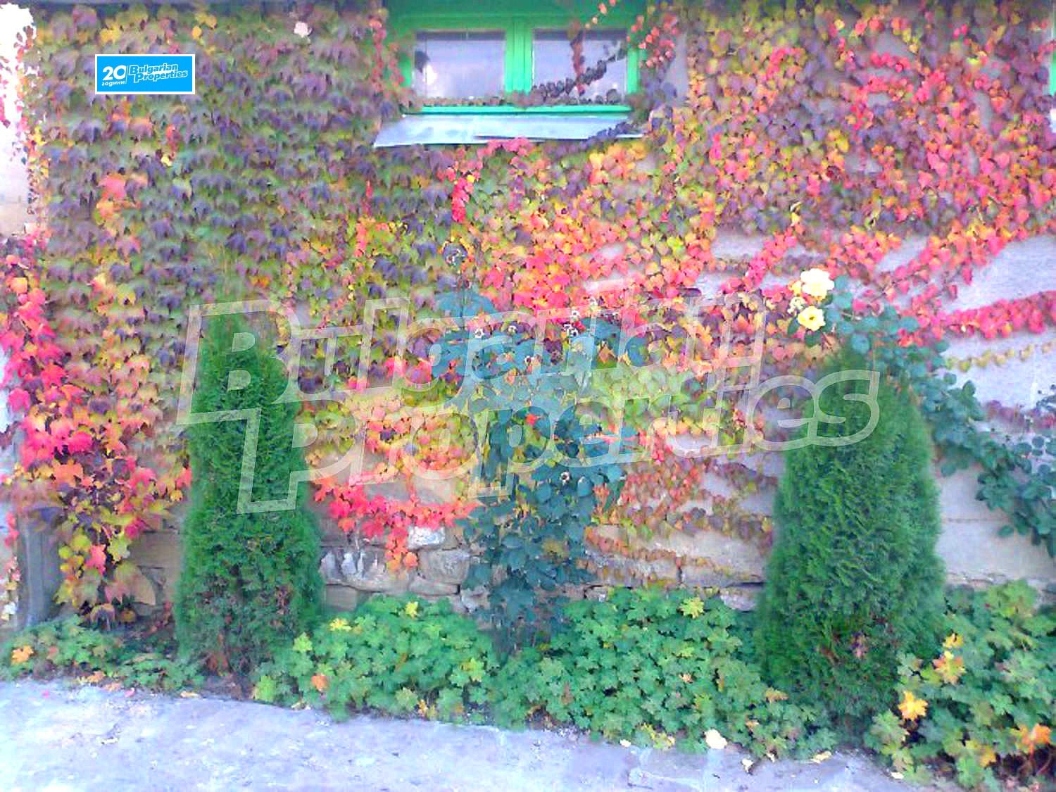 Hotel for Sale in Chiflik, Lovech Province, Bulgaria — photo 8