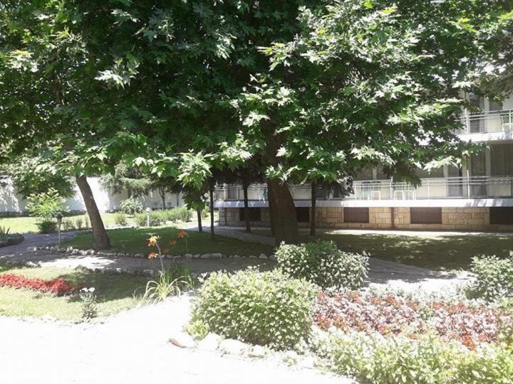 Hotel for Sale in Kranevo, Dobrich Province, Bulgaria — 3,850 m² — photo 5