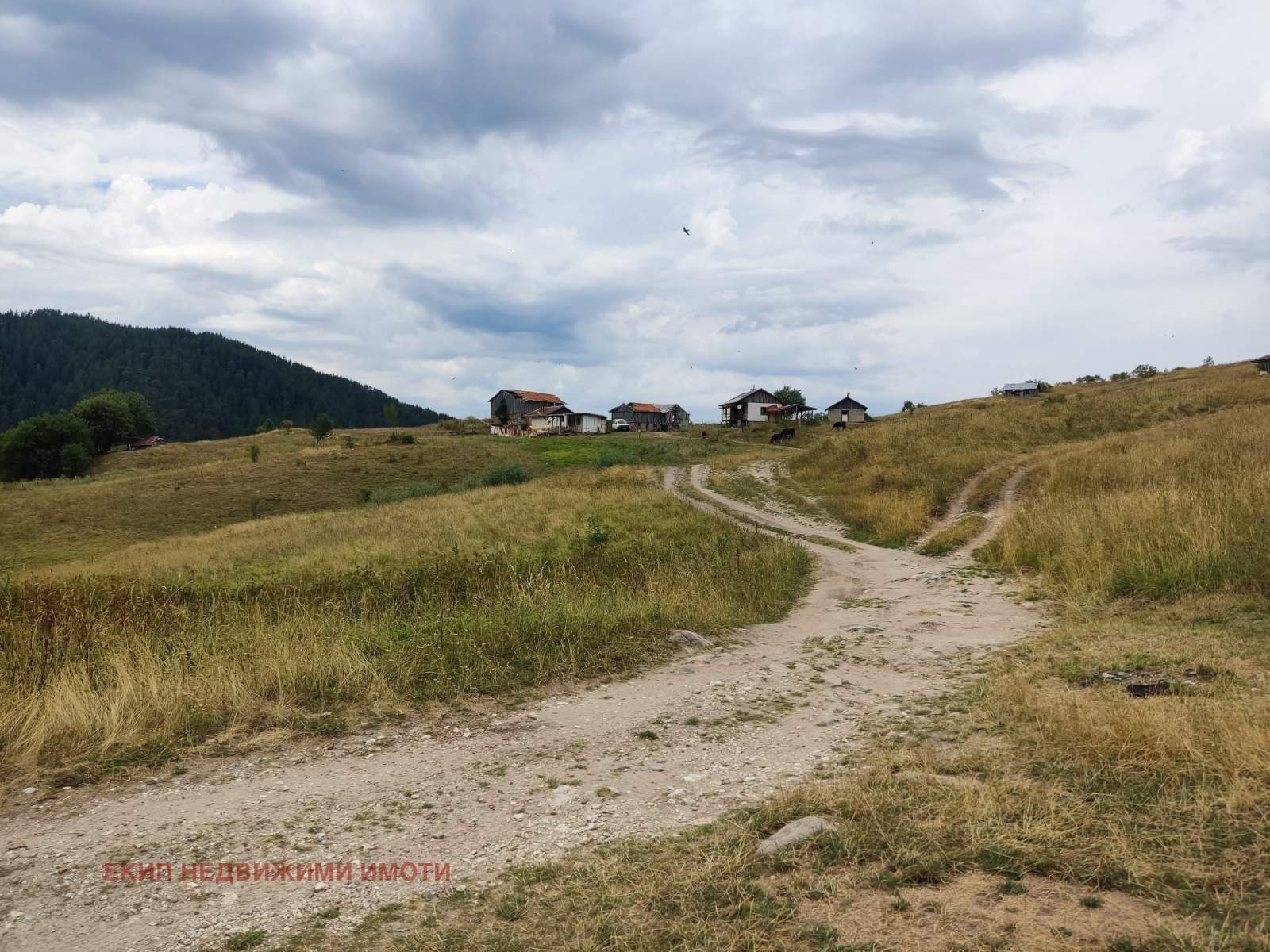 Hotel for Sale in Mugla, Smolyan Province, Bulgaria — photo 6