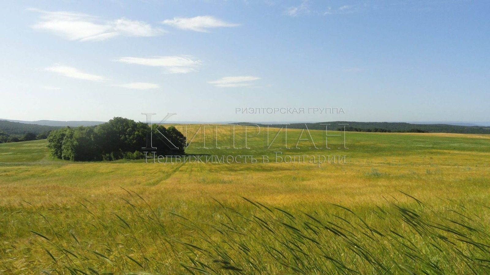 Hotel for Sale in Byala, Varna Province, Bulgaria — 477 m² — photo 4