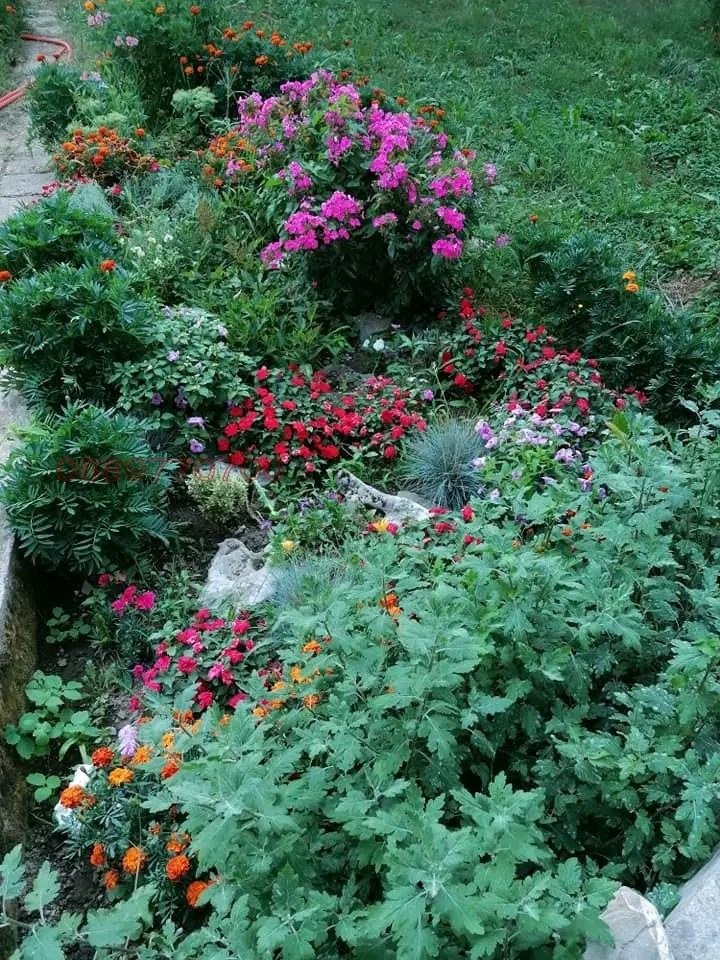 Hotel for Sale in Balkanets, Lovech Province, Bulgaria — photo 5